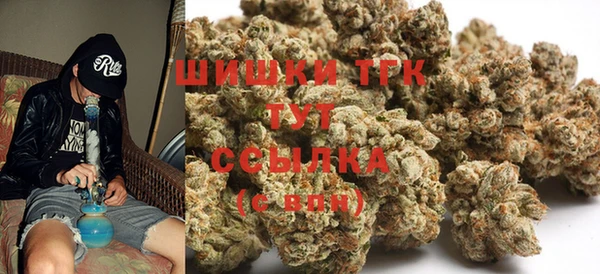 прущие грибы Арсеньев
