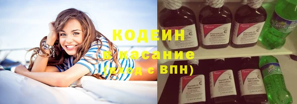 прущие грибы Арсеньев