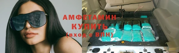 прущие грибы Арсеньев