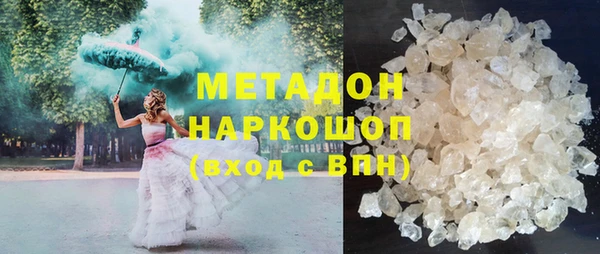 прущие грибы Арсеньев