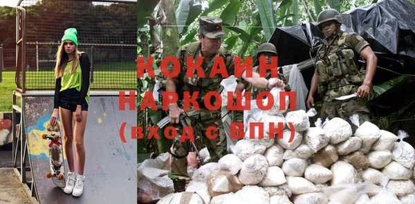 прущие грибы Арсеньев