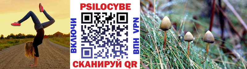 Купить  Усть-Кут  Галлюциногенные грибы Psilocybine cubensis 